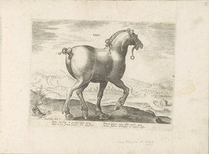Paard, Saksen