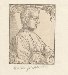 Niccolò Perotti