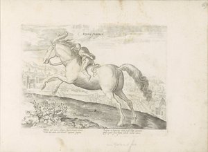 Renpaard, Ruiter