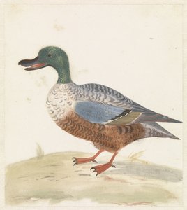 Solda duran kürek by Anonymous