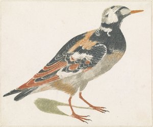 dönüm taşı by Anonymous
