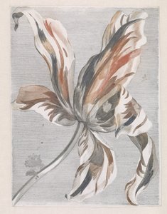 Lale by Anonymous