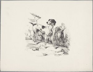 Bir çitin yanında iki köpek Altı küçük hayvan çalışması (dizi başlığı) Altı küçük canavar çalışması (nesne üzerine seri başlığı) by Anonymous