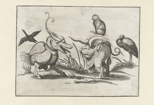 Kedi, kaz ve leylek ile iki canavar. Bir çerçeve çizgisiyle çevrili grotesk figürler (seri başlığı) by Anonymous