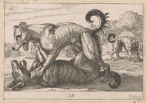 İki çiftleşme ve iki dövüş köpeği Fighting Animals (kopyalar) (dizi adı) by Anonymous