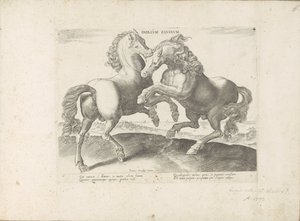 Twee vechtende paarden Duel Equinum (nesne üzerindeki başlık) Her türden en asil olan bir at: dünyanın çeşitli yerlerinden seçilen atların seçkin bir karakteri (...) (nesne üzerine seri başlığı) by Anonymous