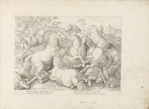 Vechtende paarden Her türden en asil olan bir at: dünyanın çeşitli yerlerinden seçilen atların seçkin bir karakteri (...) (nesne üzerine seri başlığı) by Anonymous