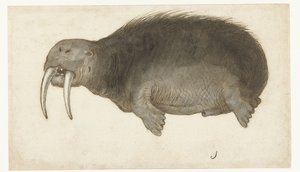 Mors Lombard albümü (seri başlığı) by Anonymous