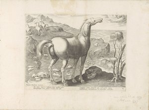 Batı rüzgarı bevrucht een merrie Paardenrassen uit de Koninklijke stallen van Don Juan van Oostenrijk (seri başlığı) Her türden en asil olan bir at: dünyanın çeşitli yerlerinden seçilen atların seçkin bir karakteri (...) (nesne üzerine seri başlığı) by Anonymous