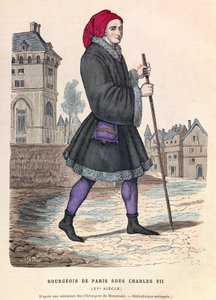 Kral VII. Charles