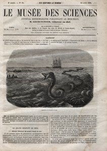 Deniz yılanının görünüşü. 1858