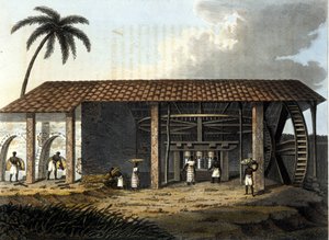 Brezilya, şeker fabrikası - “” Eski ve Modern Kostüm”de” 1819 - 1820, Dr. Jules Ferrario, ed Milan. by Anonymous Anonymous