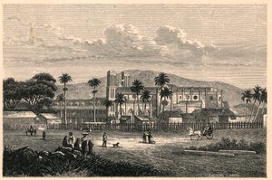 Trinidad