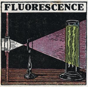 Floresan: cisimlerin floresansının kanıtı. 1925