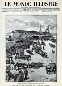 Deniz ticareti: Mısır