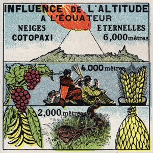Meteoroloji: Yüksekliğin iklim üzerindeki etkisi. 1925