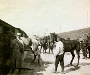 Birinci Dünya Savaşı