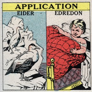 Radyasyon ve iletkenlik: Eider tüyleri, büyük miktarda hava tuttukları ve konveksiyonu önledikleri için kuş tüyü yapmak için kullanılır. 1925