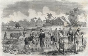 1864