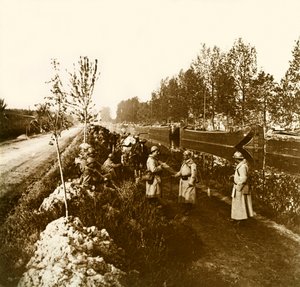 Birinci Dünya Savaşı
