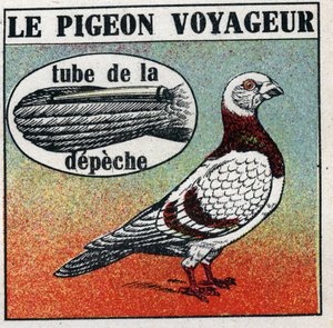 Postane: Gezgin Güvercin. 1925