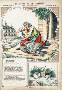 Kuğu ve Aşçı. Jean de LA FONTAINE (Lafontaine) (1621-1695) tarafından Les Fables için anonim illüstrasyon. 1880 dolaylarında Pont-a-Mousson