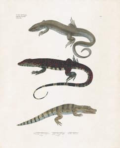  by Anstalt Arnz & Co.