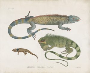  by Anstalt Arnz & Co.