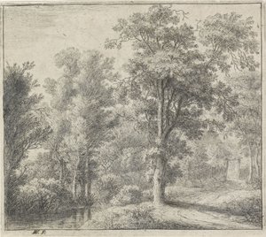 Ormana giriş Forest Views, A serisi (dizi başlığı) by Anthonie Waterloo