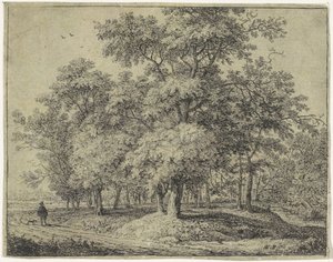 Bir ormanda köpekli adam Forest Views, A serisi (dizi başlığı) by Anthonie Waterloo