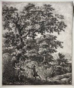 Ovid