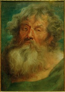 Yaşlı bir adamın başı by Anthony van Dyck