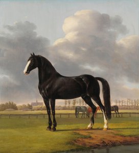 Bir Çayırda Adriaan van der Hoop