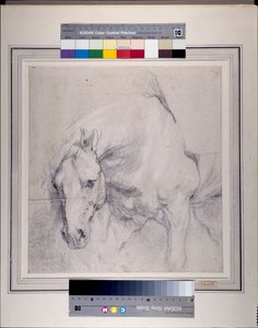 Gri bir atın Başı ve Ön Kısmı (kağıt üzerinde beyaz ile yükseltilmiş siyah tebeşir) by Anthony van Dyck