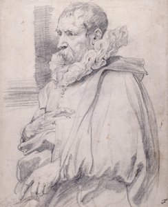 Genç Pieter Brueghel (beyaz kağıt üzerine siyah tebeşir) by Anthony van Dyck