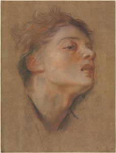 Genç Bir Adamın Başı by Antoine Coypel