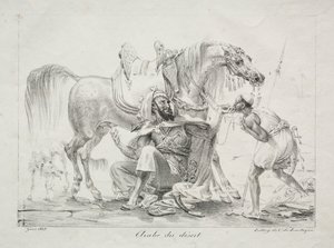 Çöl Arap, 1817. by Antoine Jean Gros