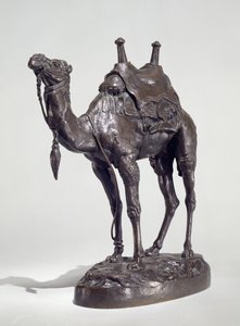 Koşumlu Mısır Dromedary (bronz)