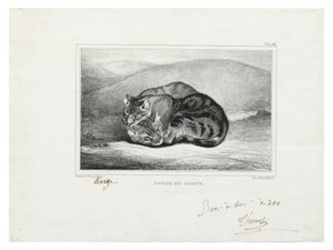 kedilerin incelenmesi by Antoine Louis Barye