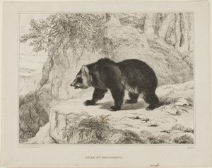 Mississippi Ayı by Antoine Louis Barye