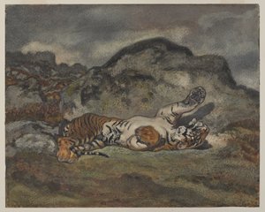 Rolling Tiger, c.1840 (kağıt üzerinde wc) by Antoine Louis Barye