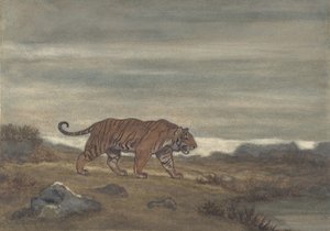 Kaplan Yaklaşan Havuz, 1810-75.