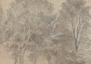 Ağaç tepeleri [verso] by Antoine Watteau