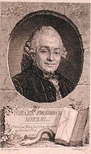 Johann Friedrich Meckel