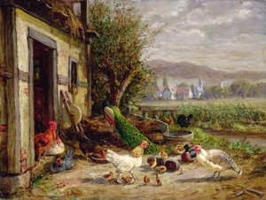 Kanal kenarında tavuklar, ördekler ve tavus kuşu by Anton Hoffmann