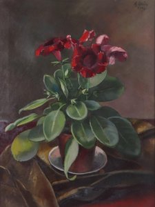  by Anton Hula