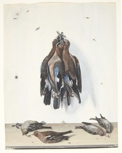 Kuşlar ile natürmort by Anton Ignaz Hamilton