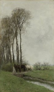 Çitteki atlar by Anton Mauve