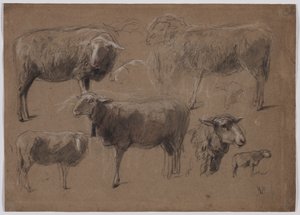 Koyun Çalışmaları by Anton Mauve