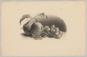 Elma, çilek, böğürtlen ve üzüm Çiçek ve Meyve Çalışmaları (...) 3. bölüm (dizi adı) by Anton Weiss